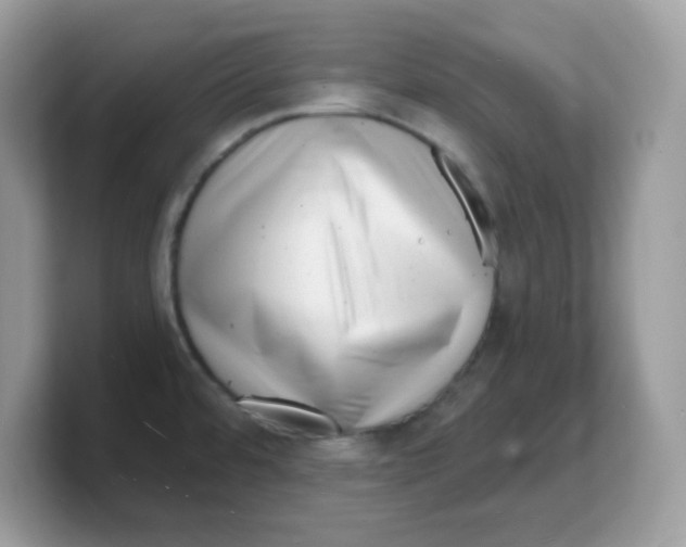 X0000103241480200809181534