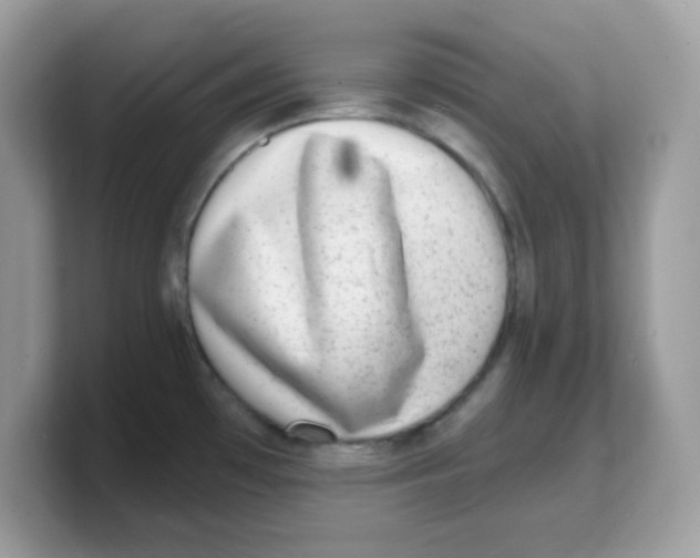 X0000103241481200809181534