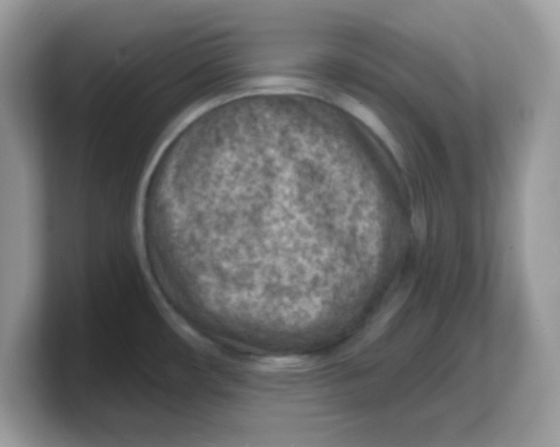 X0000103241482200809181534