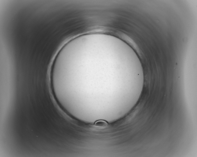 X0000103241483200809181534