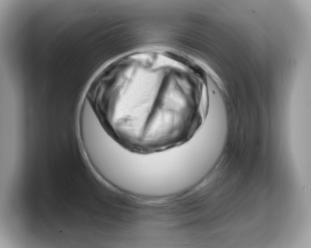 X0000103241484200809181534