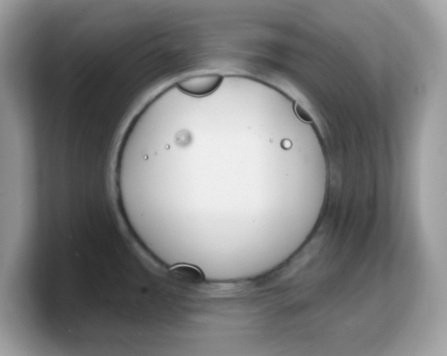 X0000103241485200809181534