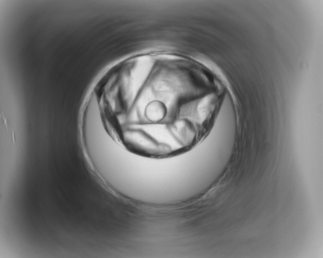 X0000103241488200809181534