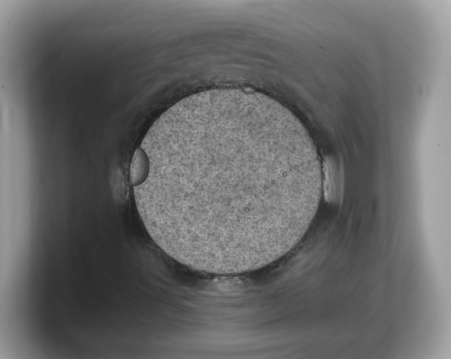 X0000103241491200809181533