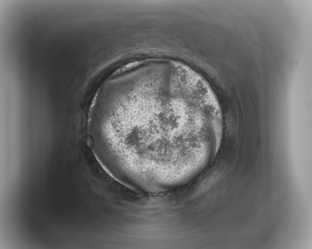 X0000103241494200809181533