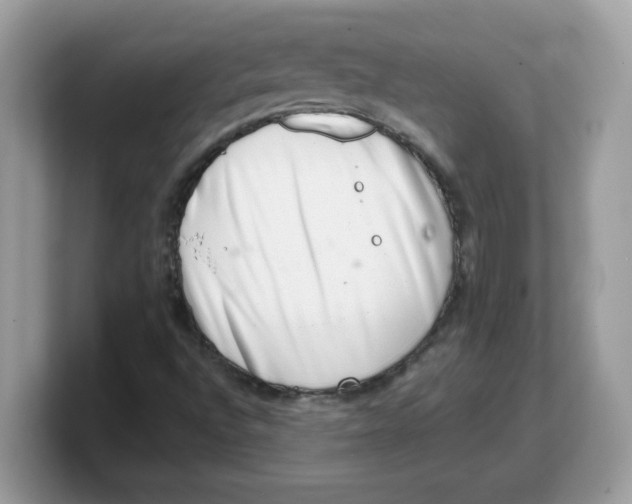 X0000103241496200809181533