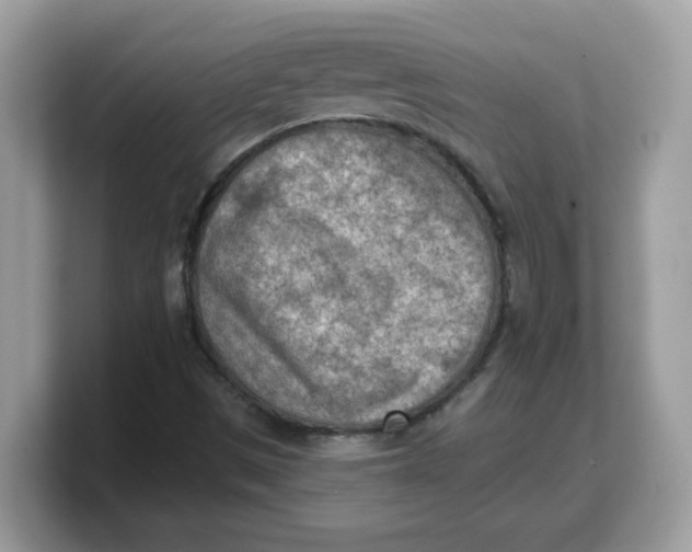 X0000103241497200809181533