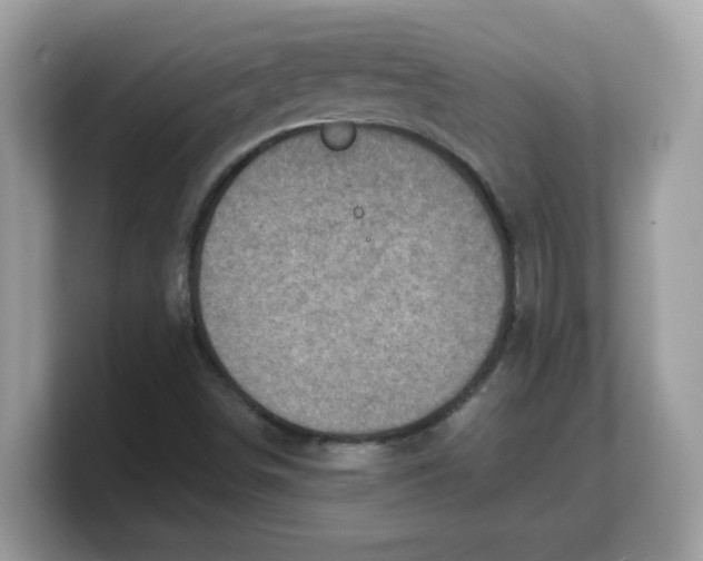 X0000103241498200809181533