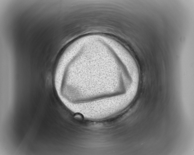 X0000103241505200809181533