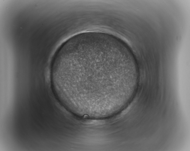 X0000103241506200809181533