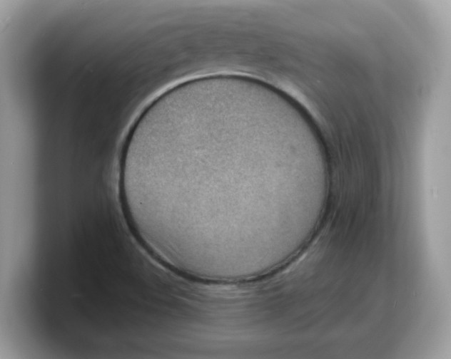 X0000103241508200809181533