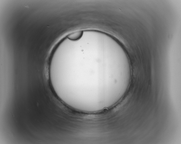 X0000103241510200809181533