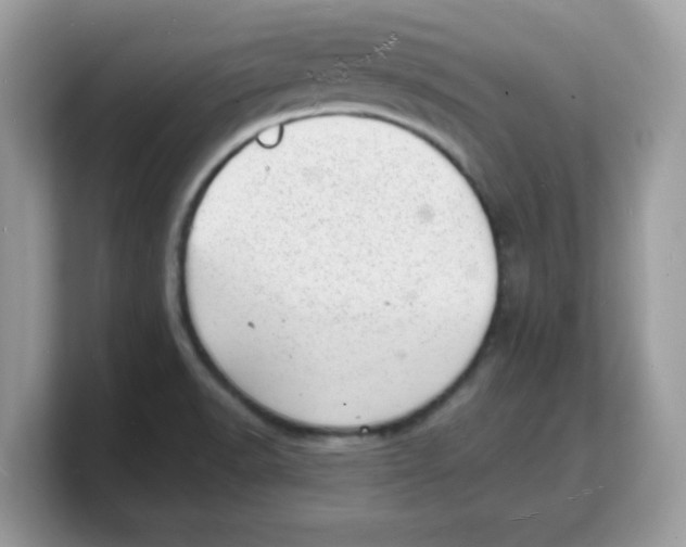 X0000103241518200809181533