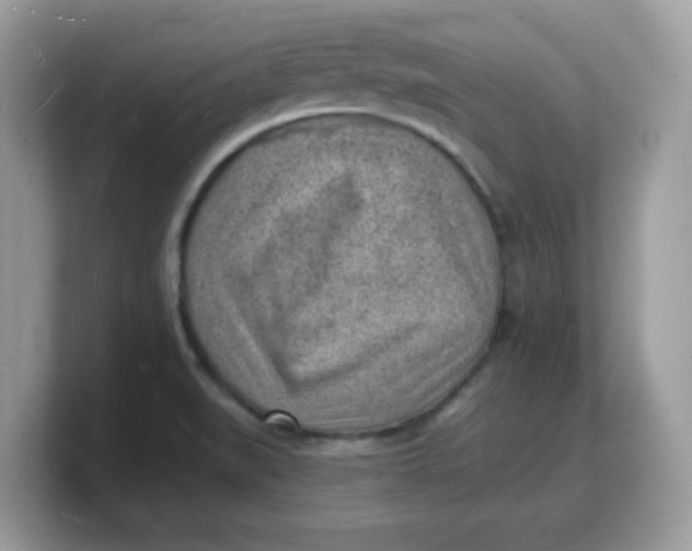 X0000103241519200809181534