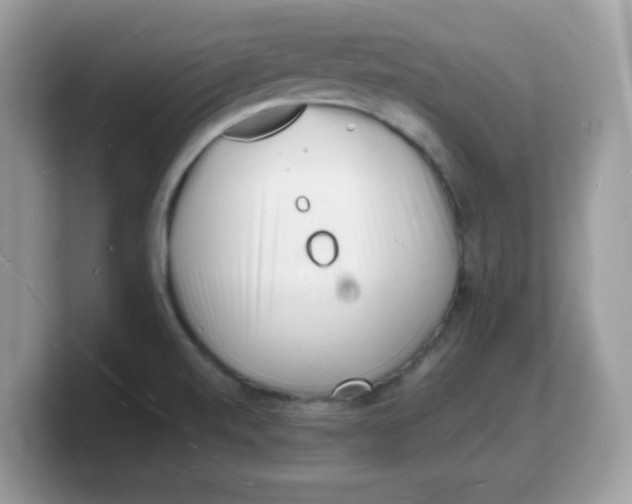 X0000103241520200809181534