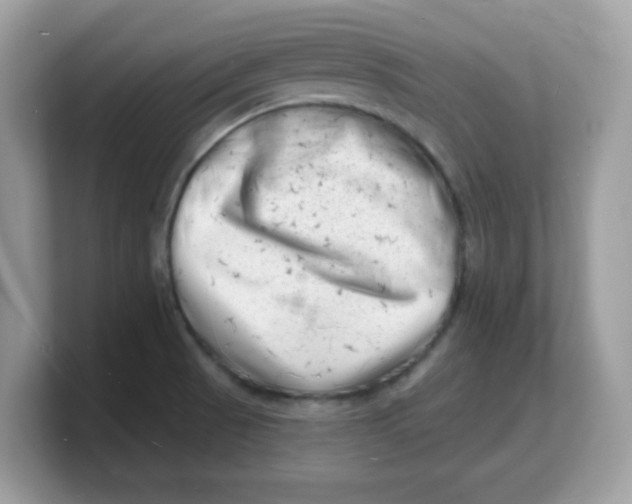 X0000103241521200809181534