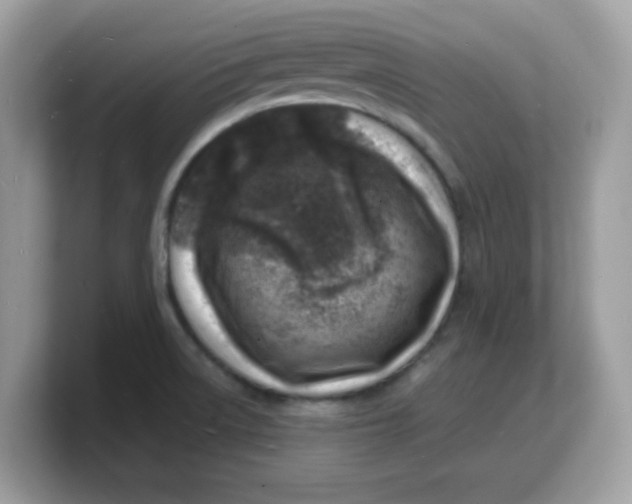 X0000103241522200809181534