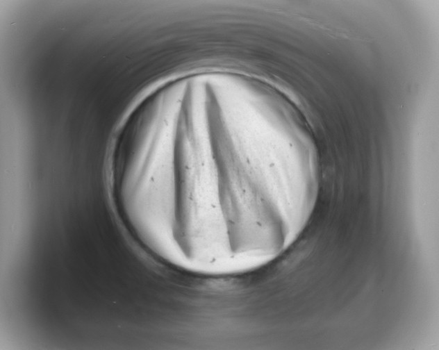 X0000103241523200809181534