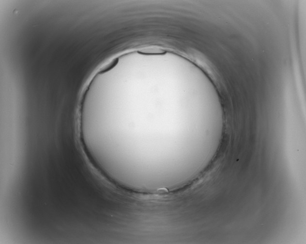 X0000103241524200809181534