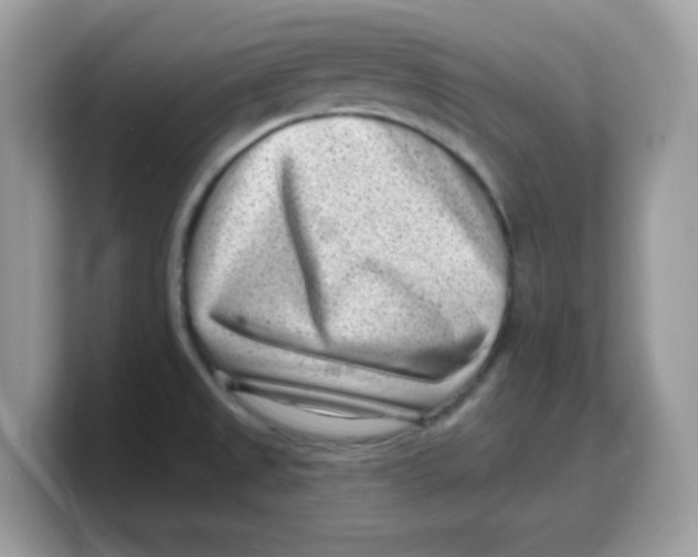 X0000103241525200809181534