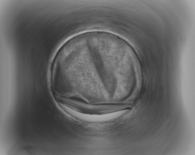 X0000103241527200809181534