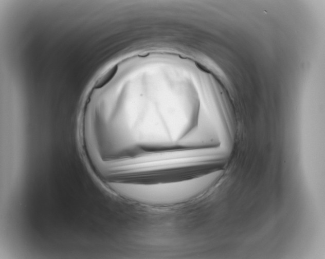 X0000103241528200809181534