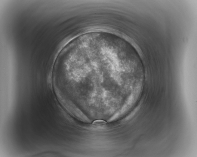 X0000103241529200809181534