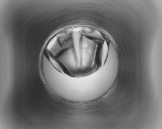 X0000103241530200809181534