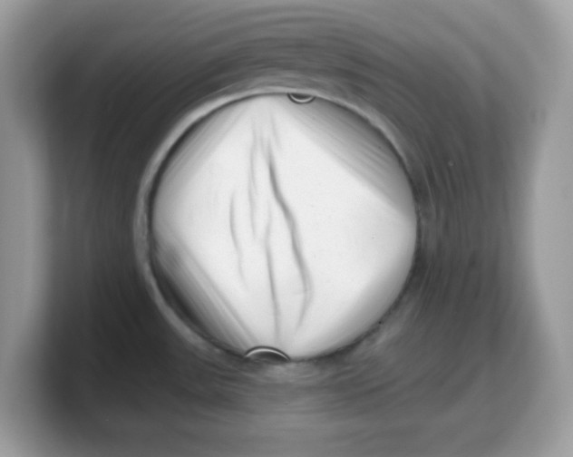 X0000103241531200809181534