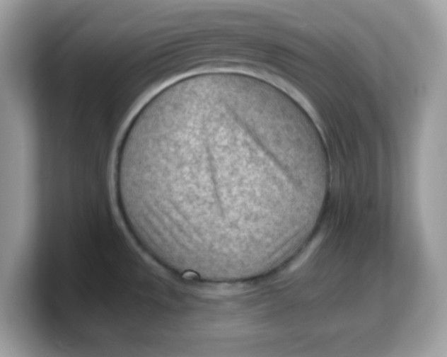 X0000103241533200809181534