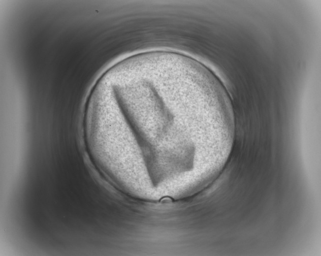 X0000103241534200809181534