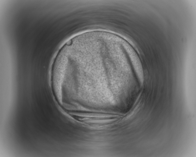 X0000103241535200809181534