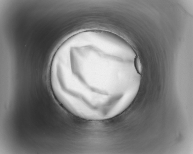 X0000103241536200809181534