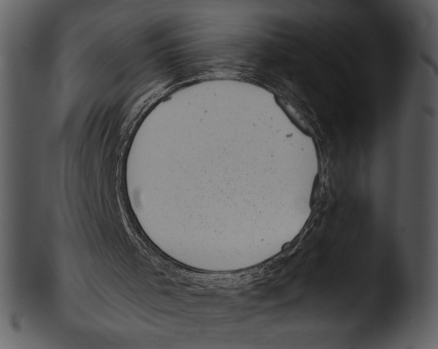 X0000103240001200809251338