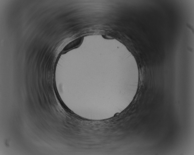 X0000103240003200809251338