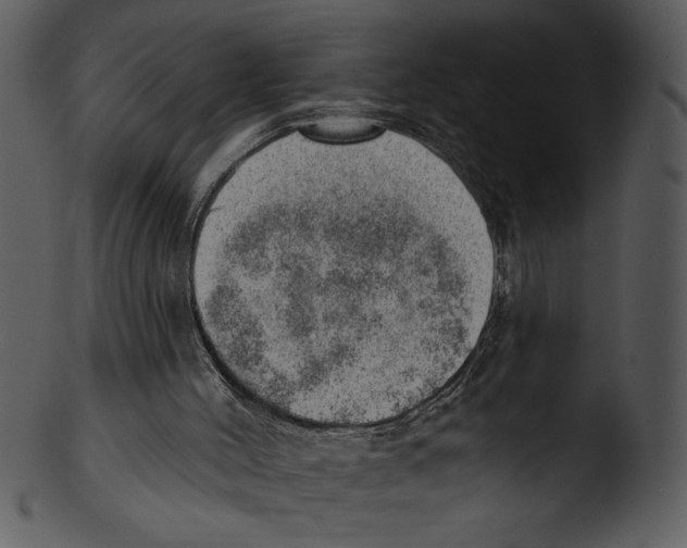 X0000103240004200809251338