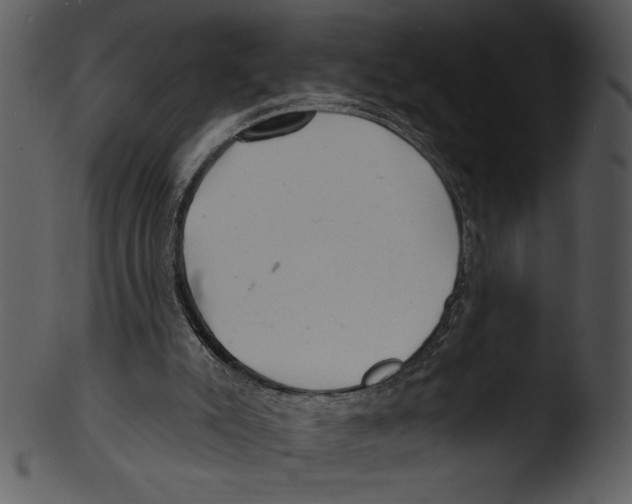 X0000103240007200809251338