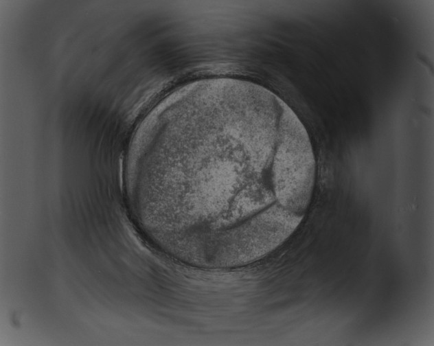 X0000103240014200809251338