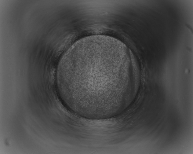 X0000103240018200809251338