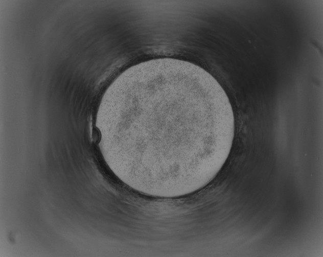 X0000103240020200809251338