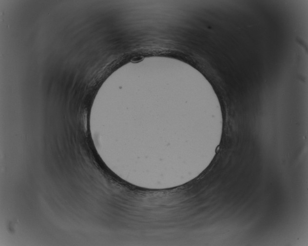 X0000103240021200809251338