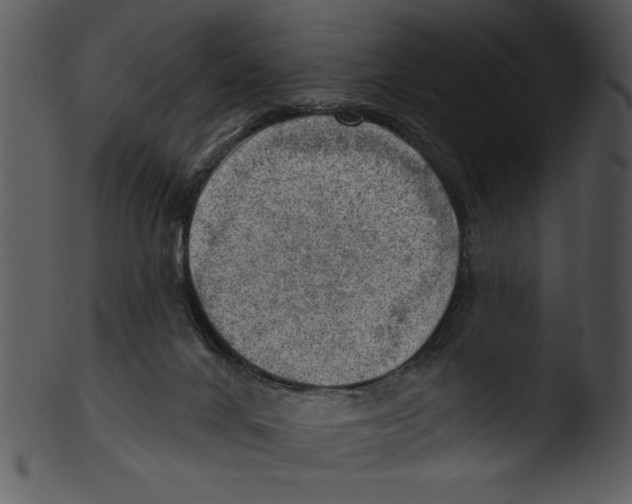 X0000103240024200809251338