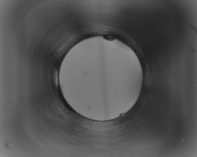 X0000103240027200809251338