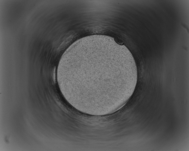 X0000103240028200809251338