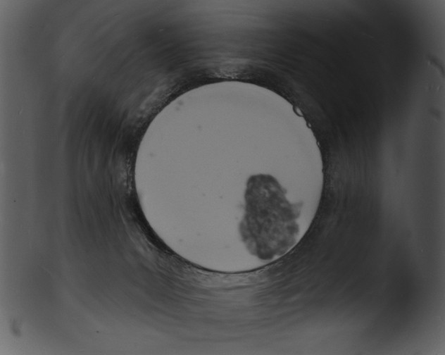 X0000103240031200809251338