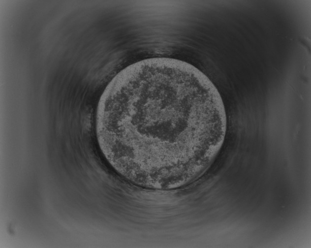 X0000103240032200809251338