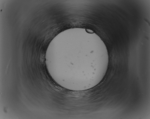 X0000103240033200809251338