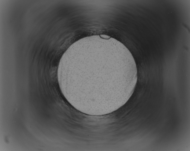 X0000103240034200809251338