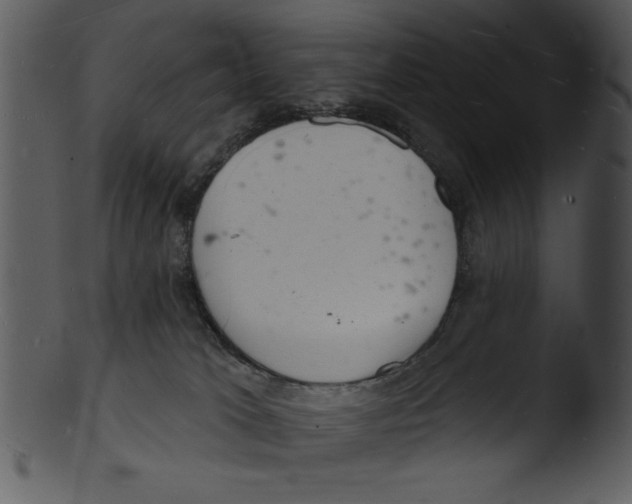 X0000103240037200809251338