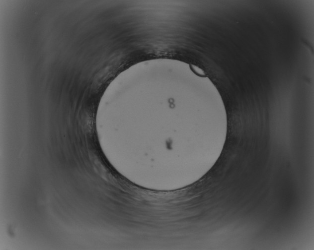 X0000103240039200809251338